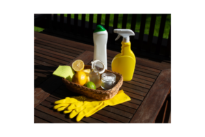 Read more about the article 10 Quick and Easy Homemade Cleaning Products